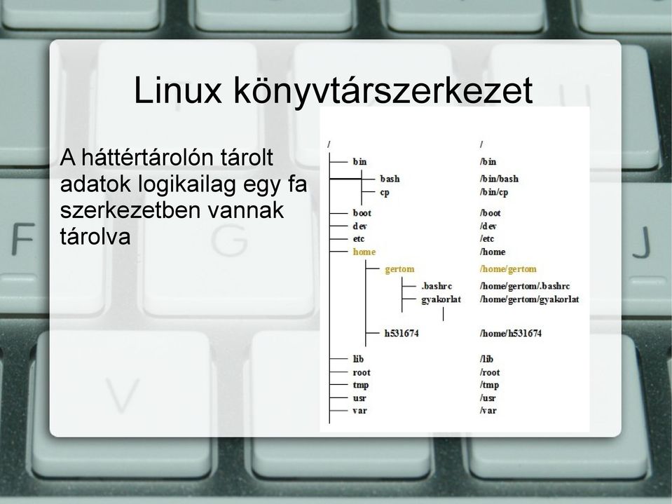 adatok logikailag egy fa