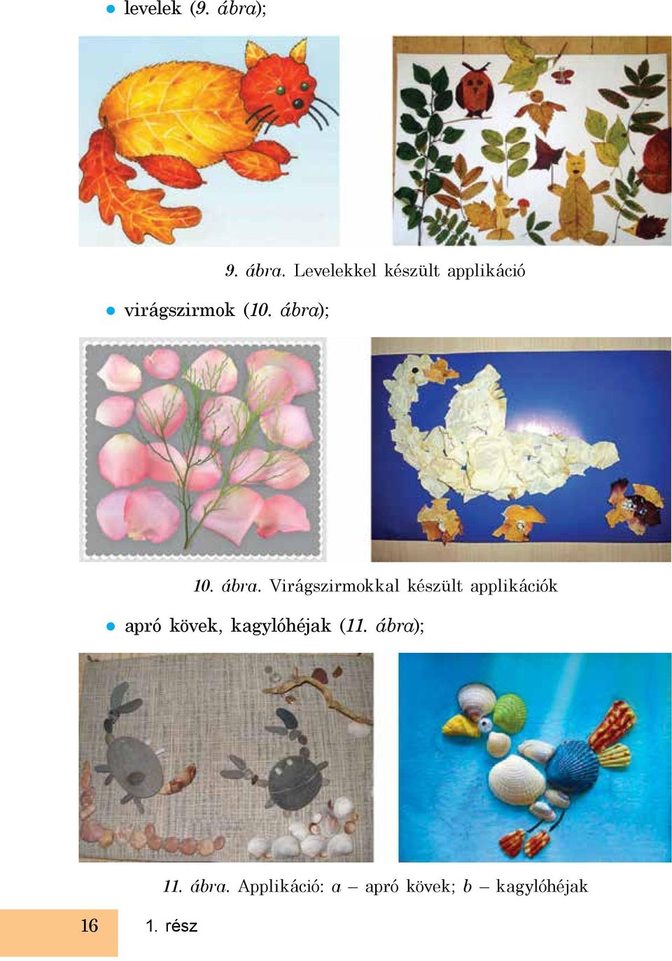 kagylóhéjak (11. ábra)