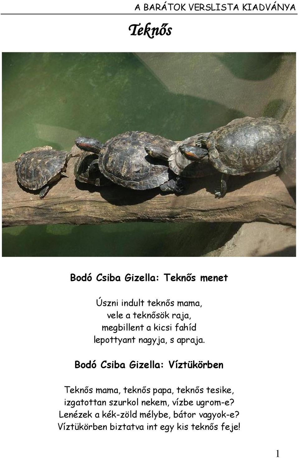 Bodó Csiba Gizella: Víztükörben Teknős mama, teknős papa, teknős tesike, izgatottan szurkol