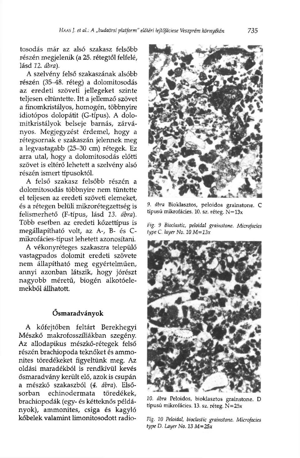 Itt a jellemző szövet a finomkristályos, homogén, többnyire idiotópos dolopátit (G-típus). A dolomitkristályok belseje barnás, zárványos.