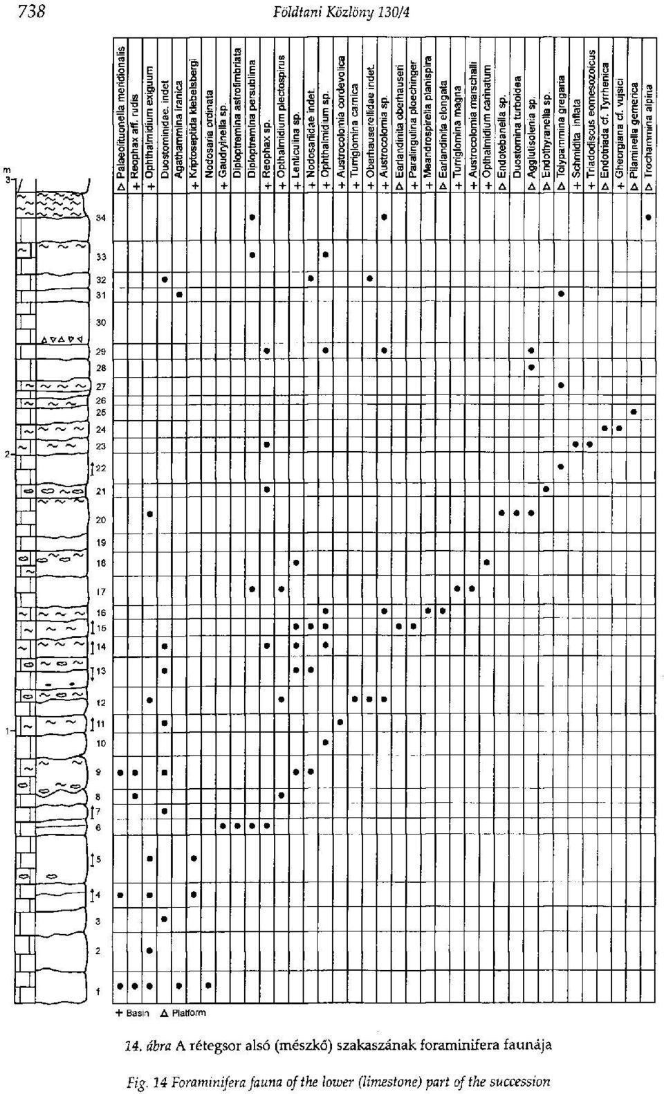 foraminifera faunája Fig.