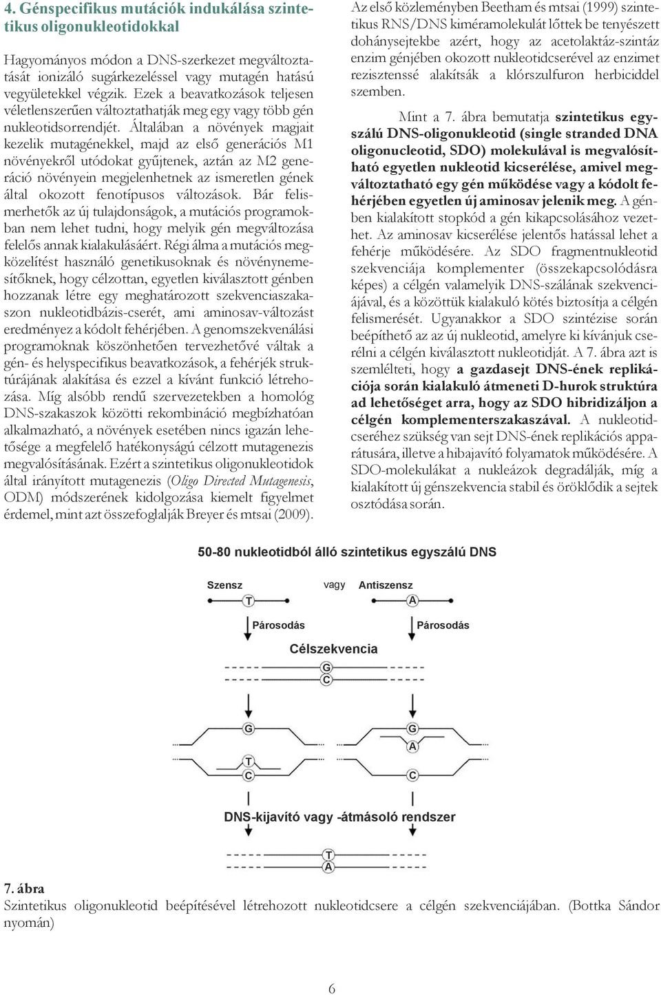 Általában a növények magjait kezelik mutagénekkel, majd az első generációs M1 növényekről utódokat gyűjtenek, aztán az M2 generáció növényein megjelenhetnek az ismeretlen gének által okozott