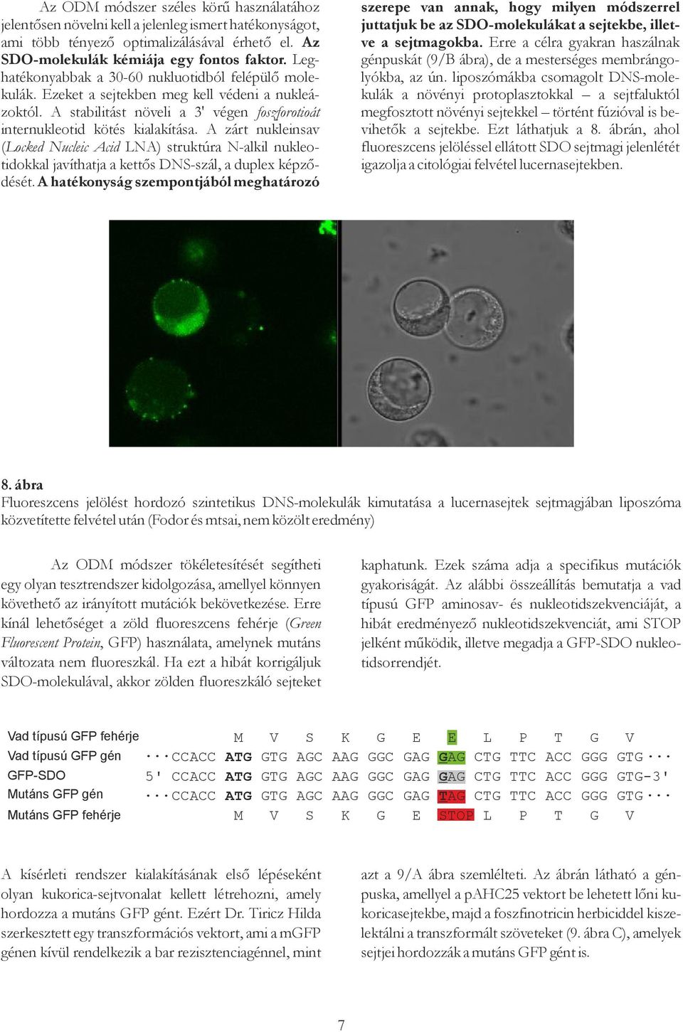 zárt nukleinsav ( Locked Nucleic cid LN) struktúra N-alkil nukleotidokkal javíthatja a kettős DNS-szál, a duplex képződését.