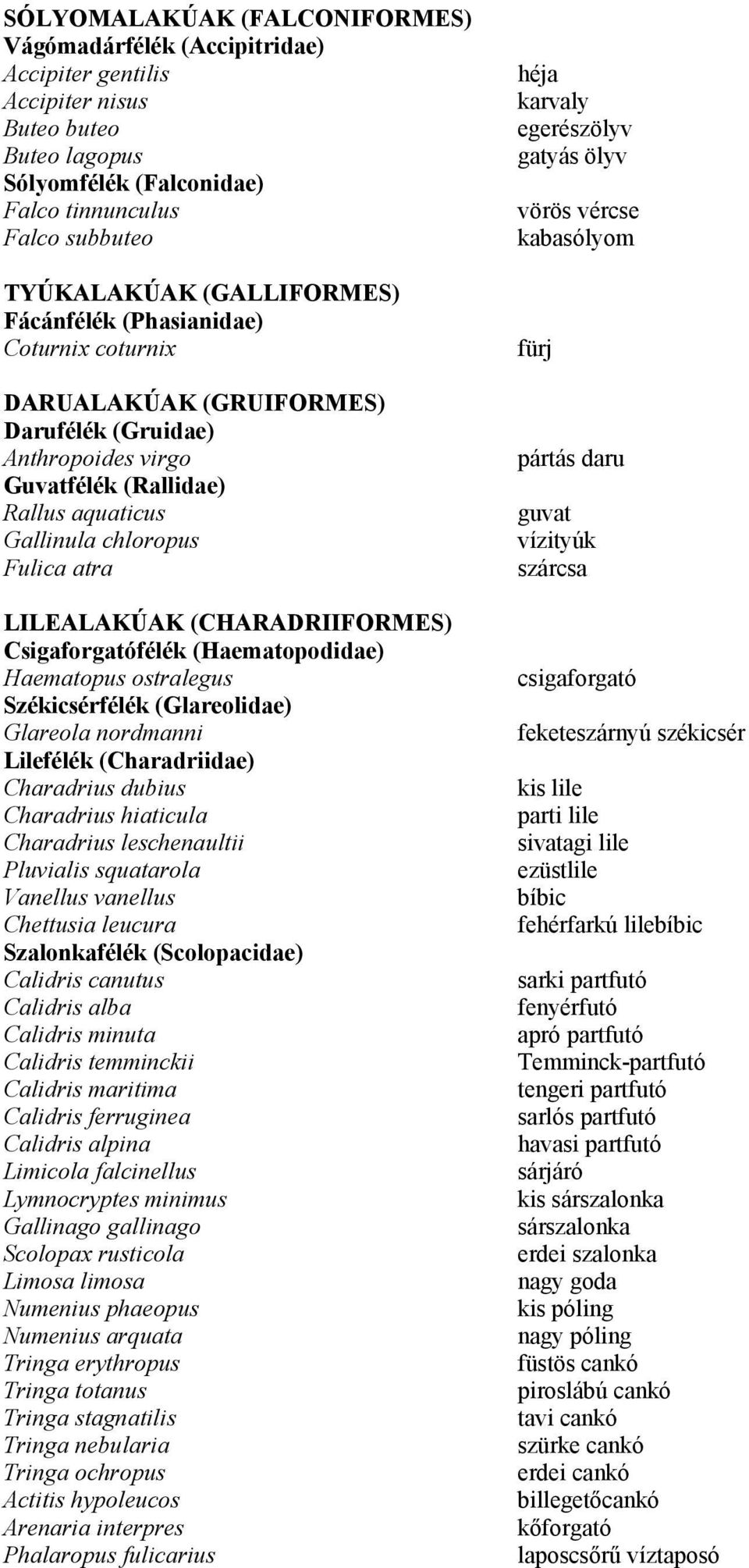 daru Guvatfélék (Rallidae) Rallus aquaticus guvat Gallinula chloropus vízityúk Fulica atra szárcsa LILEALAKÚAK (CHARADRIIFORMES) Csigaforgatófélék (Haematopodidae) Haematopus ostralegus csigaforgató