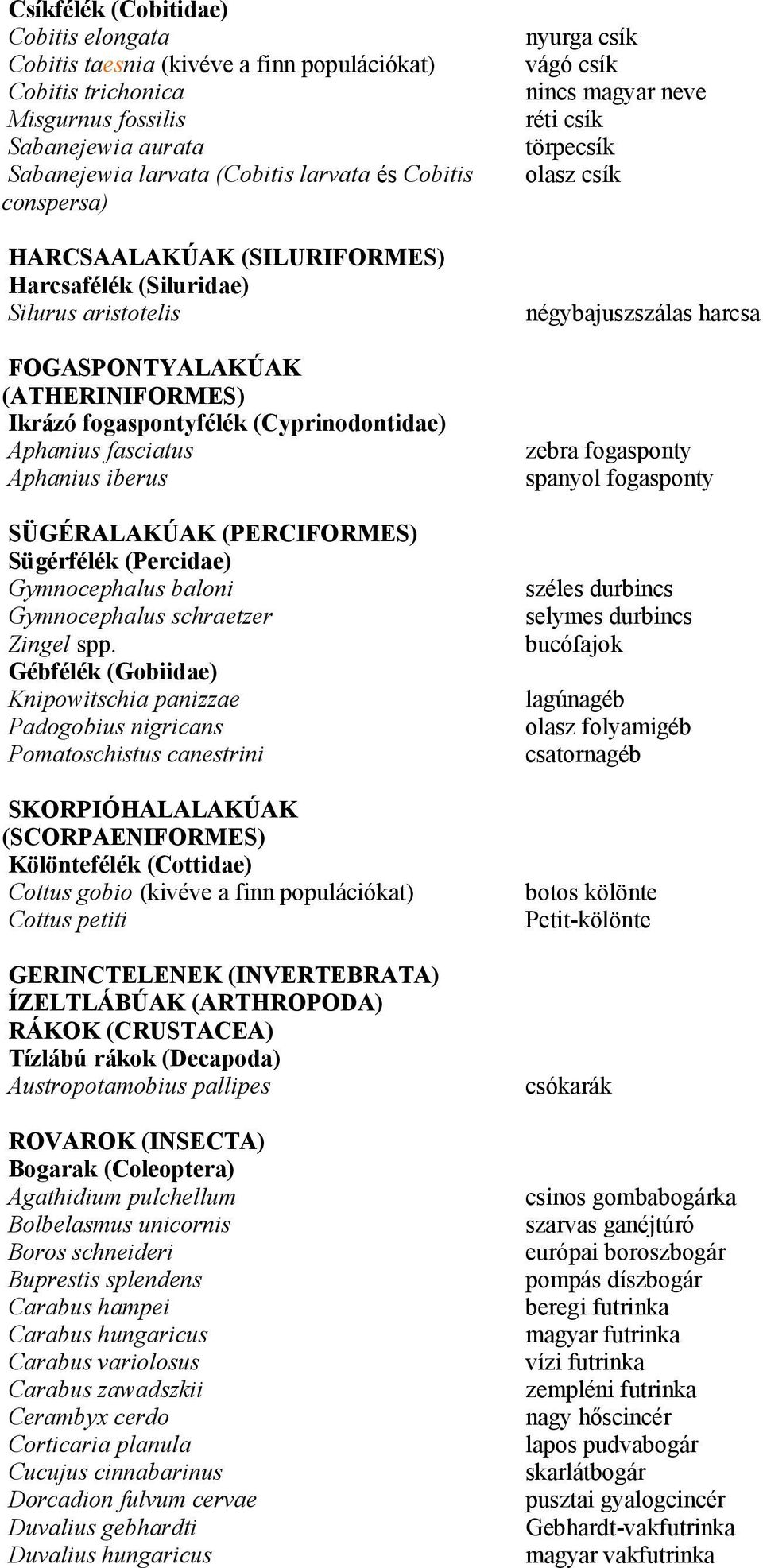 (ATHERINIFORMES) Ikrázó fogaspontyfélék (Cyprinodontidae) Aphanius fasciatus zebra fogasponty Aphanius iberus spanyol fogasponty SÜGÉRALAKÚAK (PERCIFORMES) Sügérfélék (Percidae) Gymnocephalus baloni