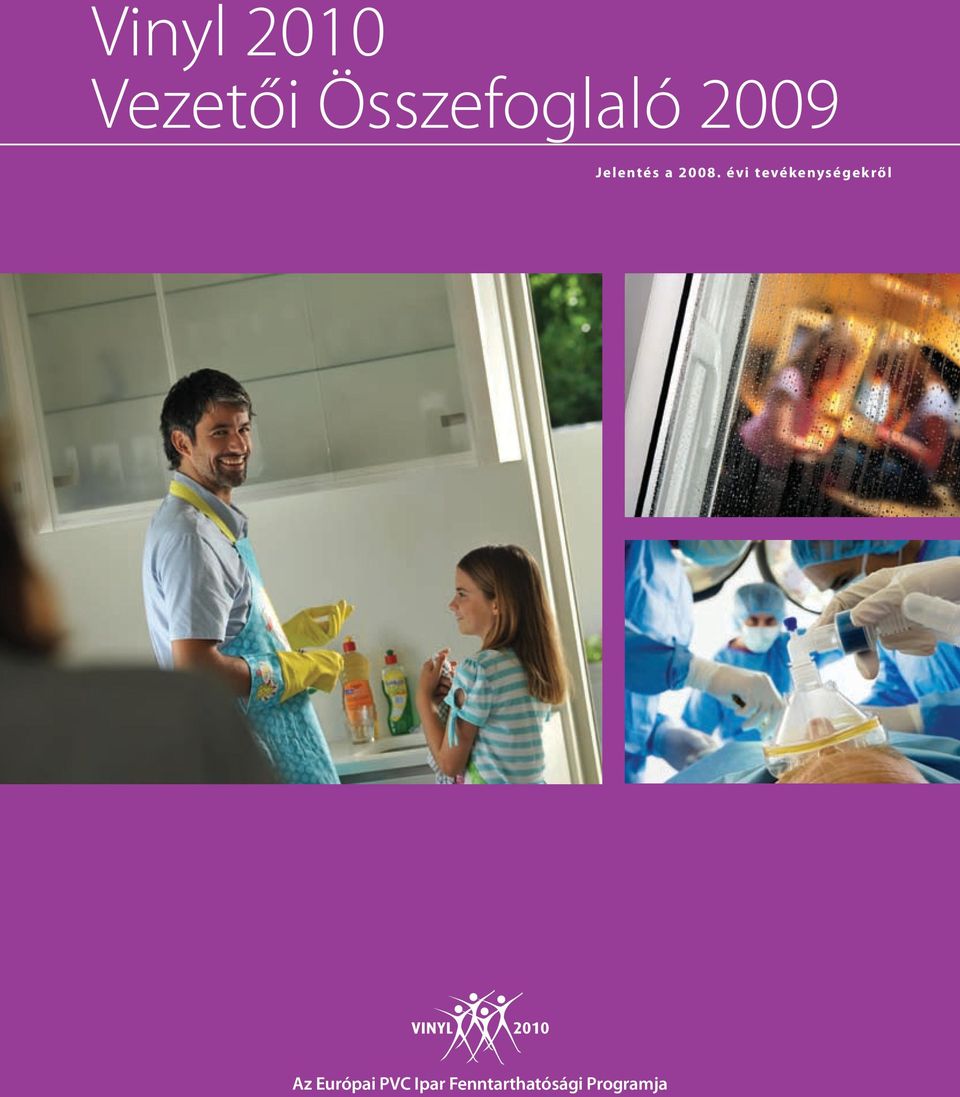 2008. évi tevékenységekről Az