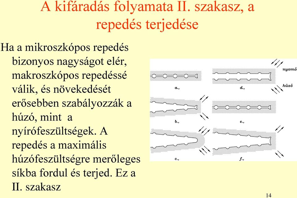 elér, makroszkópos repedéssé válik, és növekedését erősebben szabályozzák