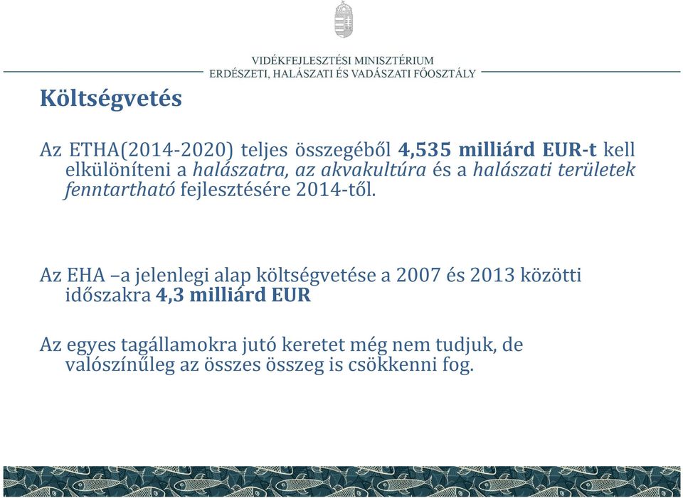 Az EHA a jelenlegi alap költségvetése a 2007 és 2013 közötti időszakra 4,3 milliárd EUR Az
