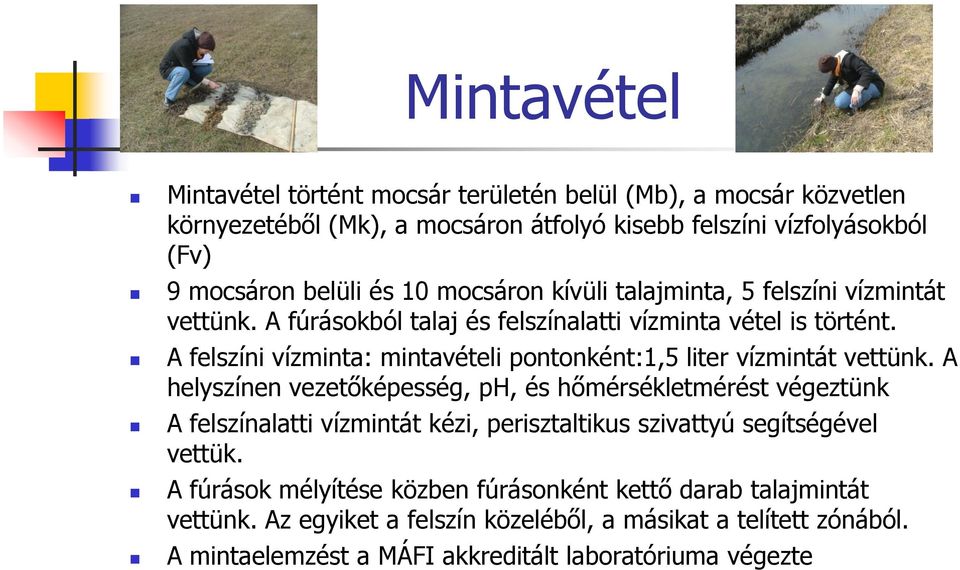 A felszíni vízminta: mintavételi pontonként:1,5 liter vízmintát vettünk.