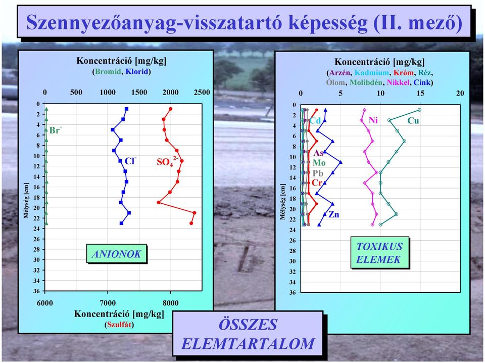 1000 1500 00 500 Cl ANIONOK SO 4 6000 7000 8000 Koncentráció [mg/kg] (Szulfát) Mélység [cm] 0 4 6 8 10 1