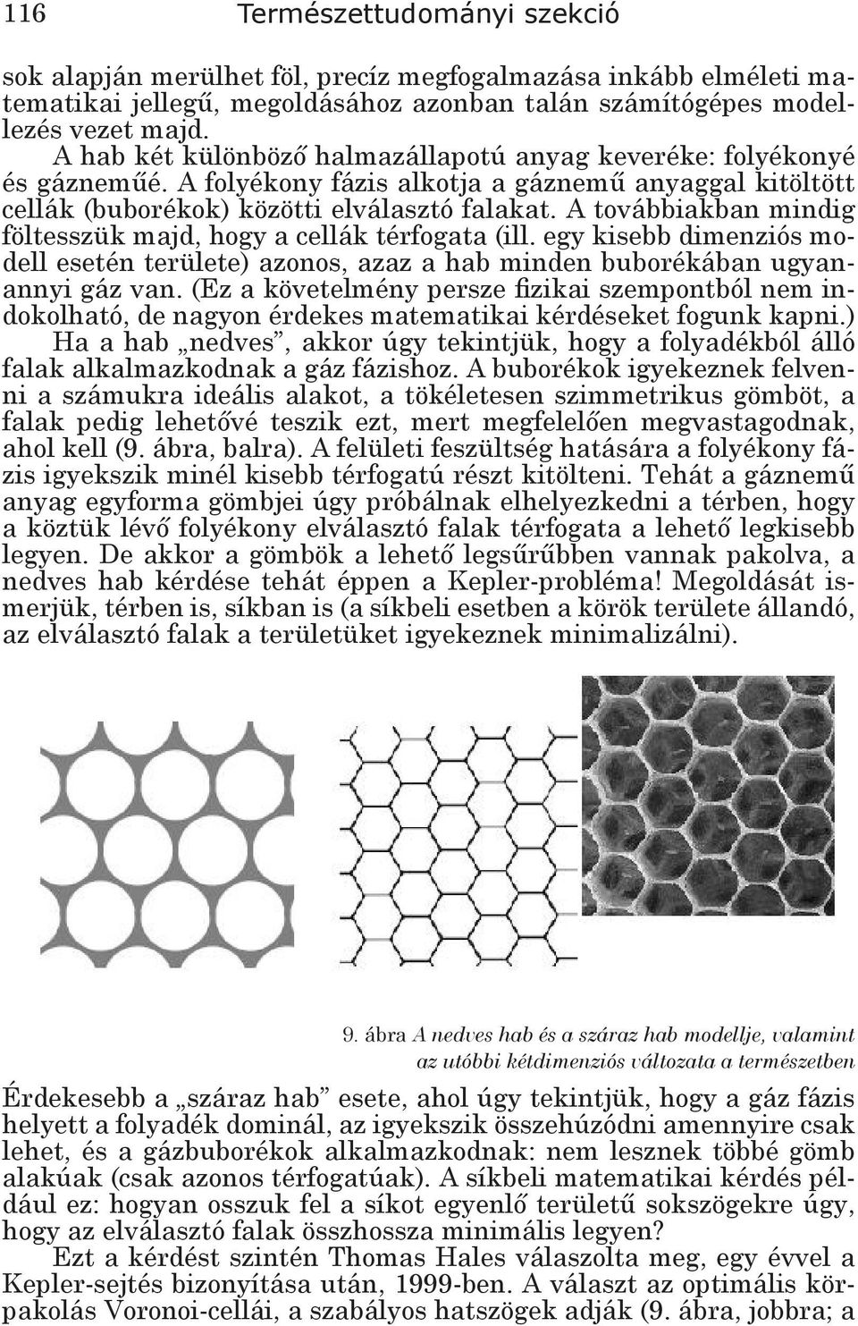 A továbbiakban mindig föltesszük majd, hogy a cellák térfogata (ill. egy kisebb dimenziós modell esetén területe) azonos, azaz a hab minden buborékában ugyanannyi gáz van.