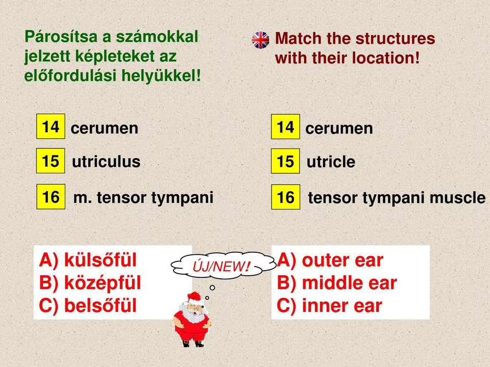 14 cerumen 14 cerumen 15 utriculus 15 utricle 16 m.