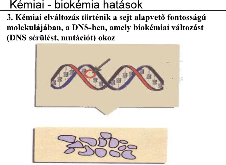 alapvető fontosságú molekulájában, a