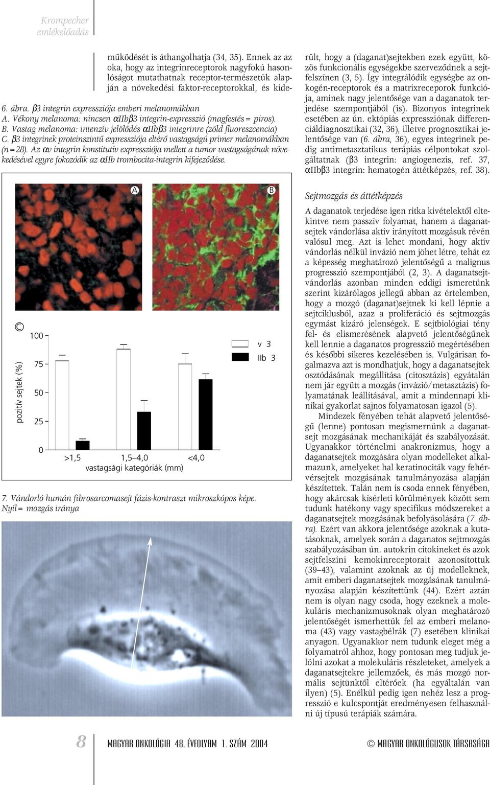 Az αv integrin konstitutív expressziója mellett a tumor vastagságának növekedésével egyre fokozódik az αiib trombocita-integrin kifejezôdése.