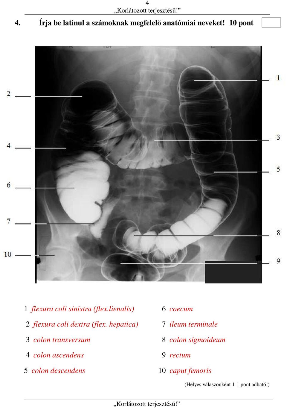 lienalis) 6 coecum 2 flexura coli dextra (flex.