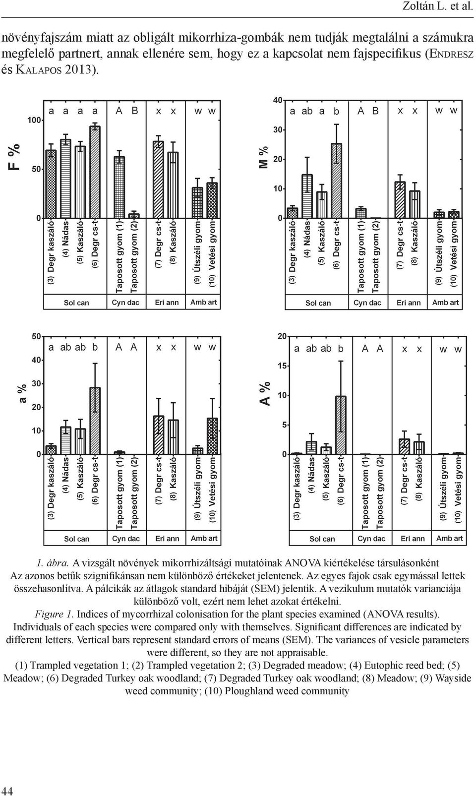 A vizsgált növények mikorrhizáltsági mutatóinak ANOVA kiértékelése társulásonként Az azonos betűk szignifikánsan nem különböző értékeket jelentenek.