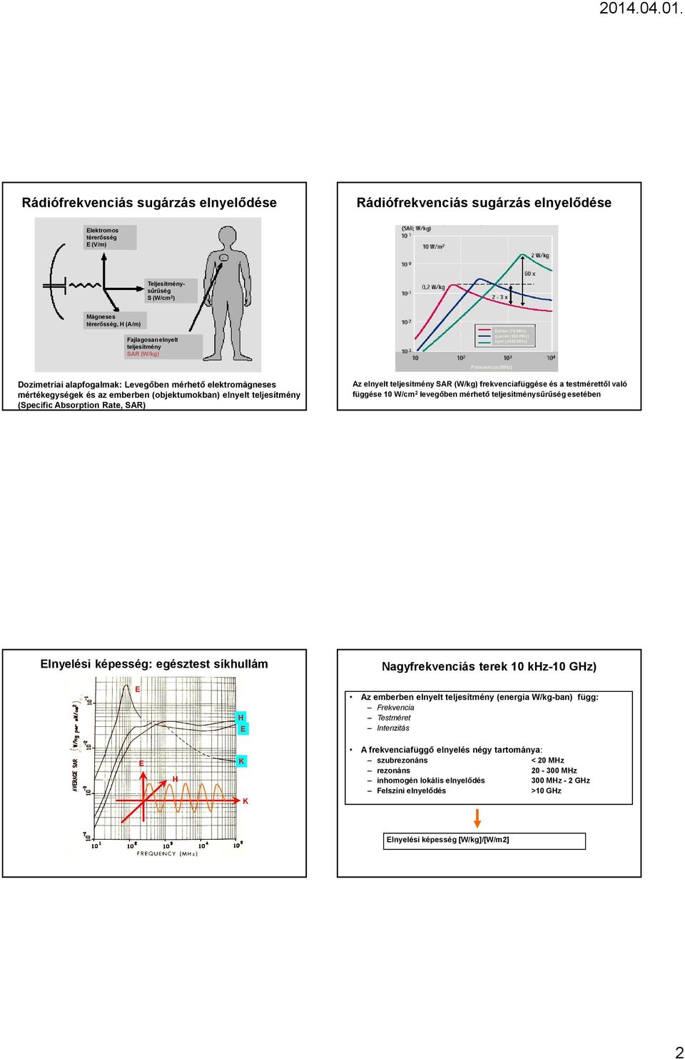 (Specific Absrptin Rate, SAR) Az elnyelt teljesítmény SAR (W/kg) frekvenciafüggése és a testmérettől való függése 10 W/cm 2 levegőben mérhető teljesítménysűrűség esetében Elnyelési képesség: