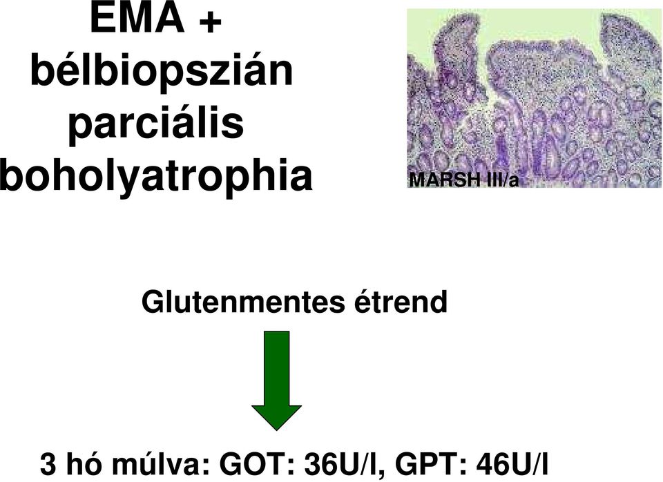 MARSH III/a Glutenmentes