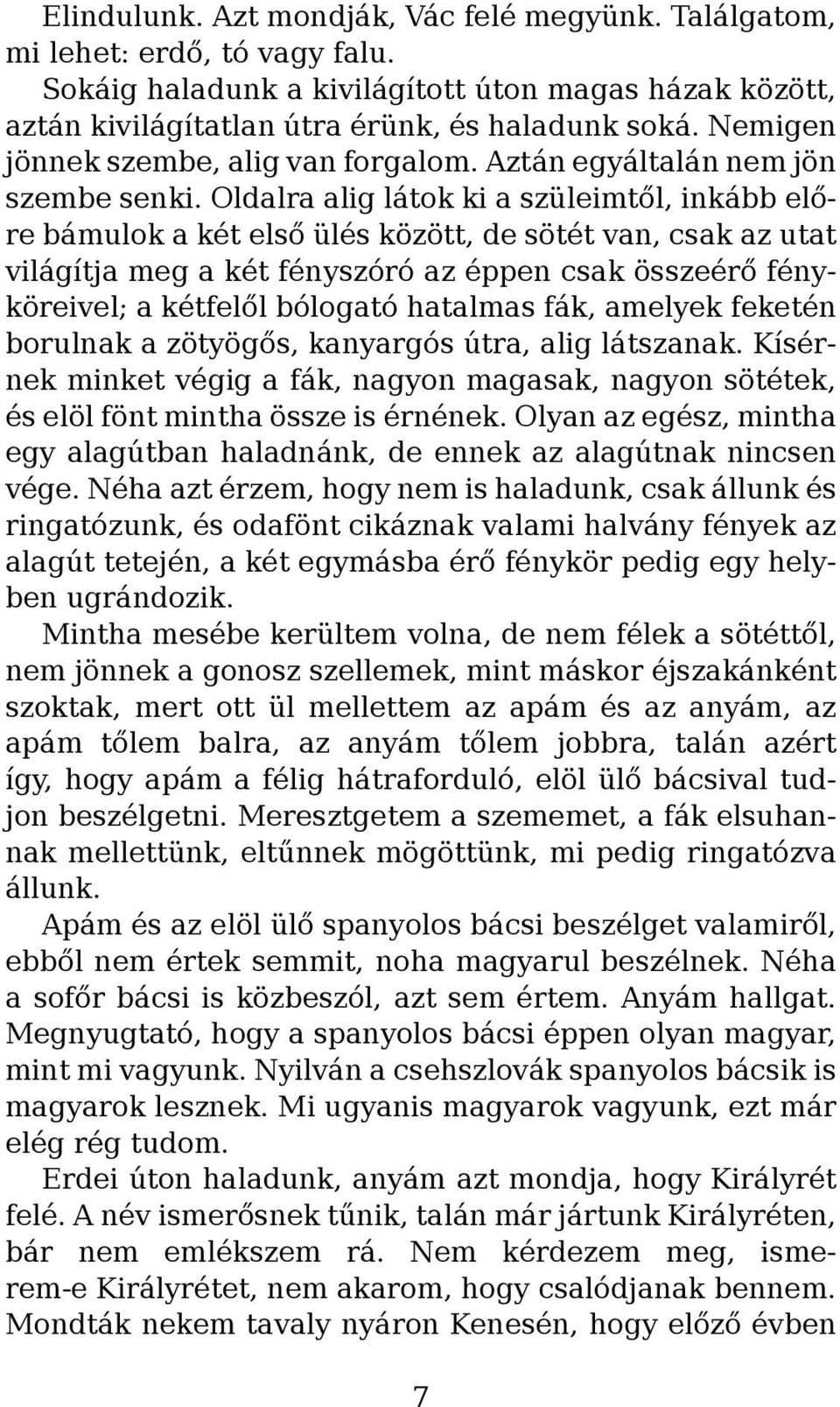 Oldalra alig látok ki a szüleimtől, inkább előre bámulok a két első ülés között, de sötét van, csak az utat világítja meg a két fényszóró az éppen csak összeérő fényköreivel; a kétfelől bólogató