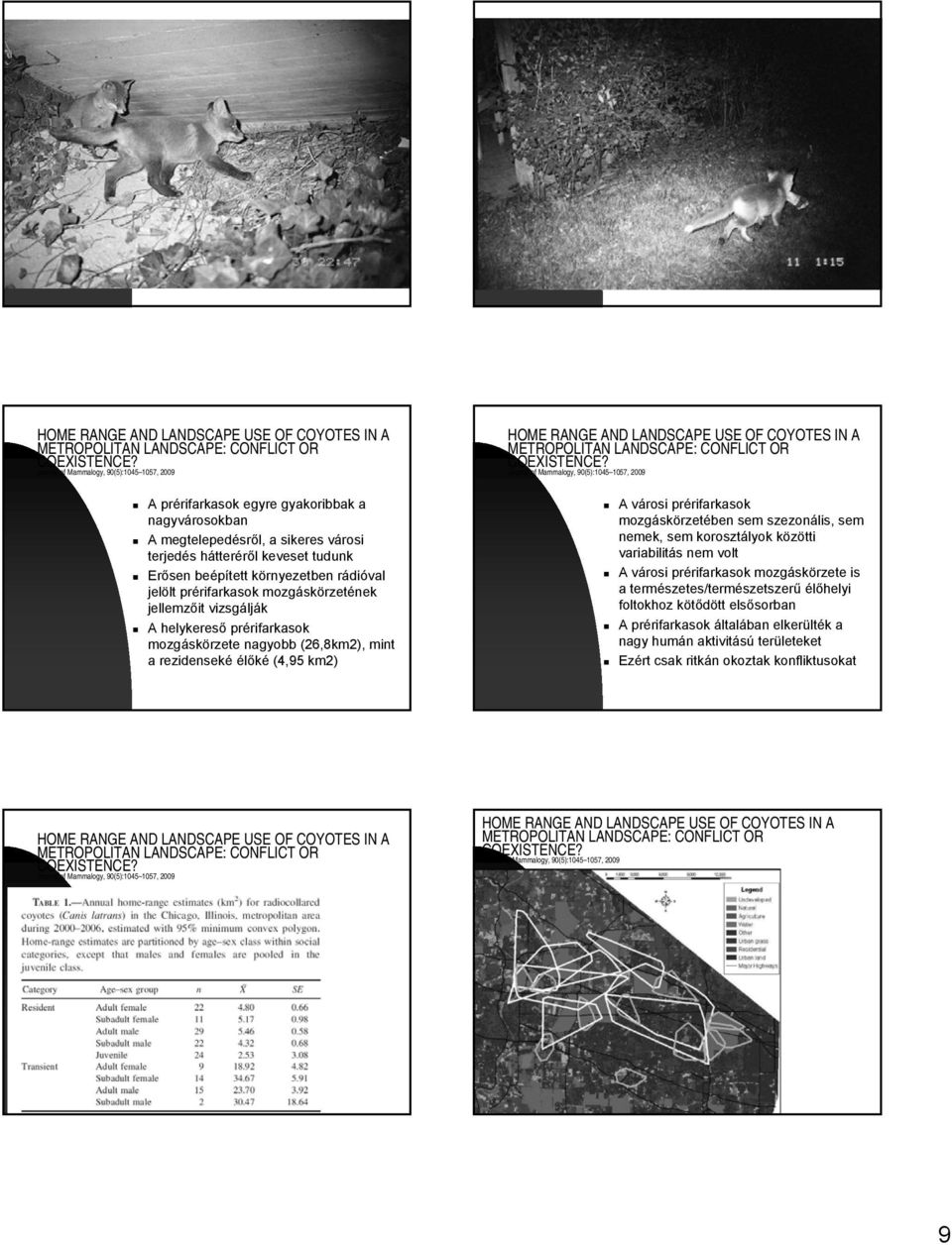 km2) HOME RANGE AND LANDSCAPE USE OF COYOTES IN A METROPOLITAN LANDSCAPE: CONFLICT OR A városi prérifarkasok mozgáskörzetében sem szezonális, sem nemek, sem korosztályok közötti variabilitás nem volt