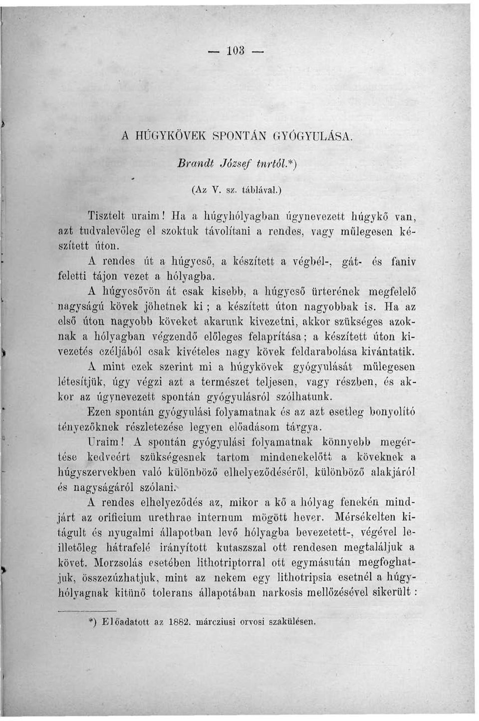 A rendes út a húgycső, a készített a végbél-, gát- és faniv feletti tájon vezet a hólyagba.