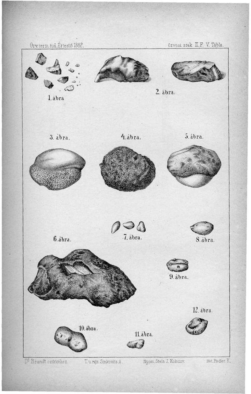 ábra. 8. ábra. Wfeí$& -'*^ 9. ábra. 12.ii) ra. 10. ábra.. 11. ábra. D?