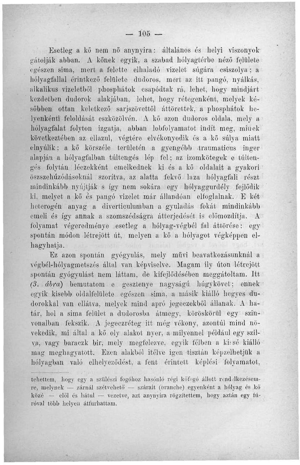 vizeletből phosphátok csapódtak rá, lehet, hogy mindjárt kezdetben dudorok alakjában, lehet, hogy rétegenként, melyek későbben ottan keletkező sarjszövettől áttörettek, a phosphátok helyenkénti