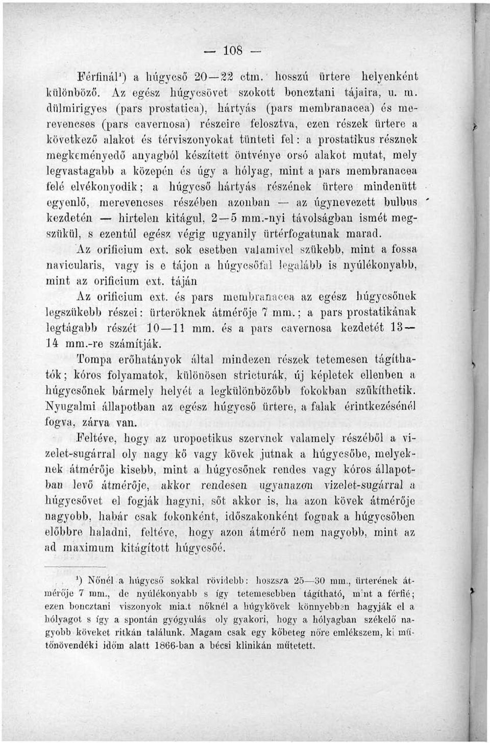 résznek megkeményedő anyagból készített öntvénye orsó alakot mutat, mely legvastagabb a közepén és úgy a hólyag, mint a pars membranaeea felé elvékonyodik; a húgycső hártyás részének ürtere mindenütt