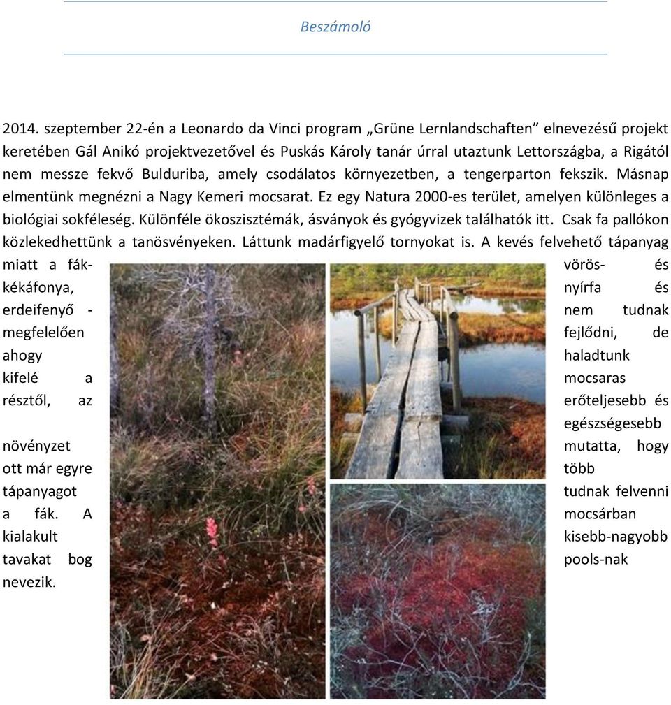 fekvő Bulduriba, amely csodálatos környezetben, a tengerparton fekszik. Másnap elmentünk megnézni a Nagy Kemeri mocsarat. Ez egy Natura 2000-es terület, amelyen különleges a biológiai sokféleség.