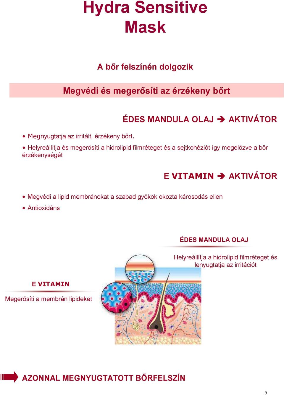 érzékenységét E VITAMIN AKTIVÁTOR Megvédi a lipid membránokat a szabad gyökök okozta károsodás ellen Antioxidáns ÉDES MANDULA