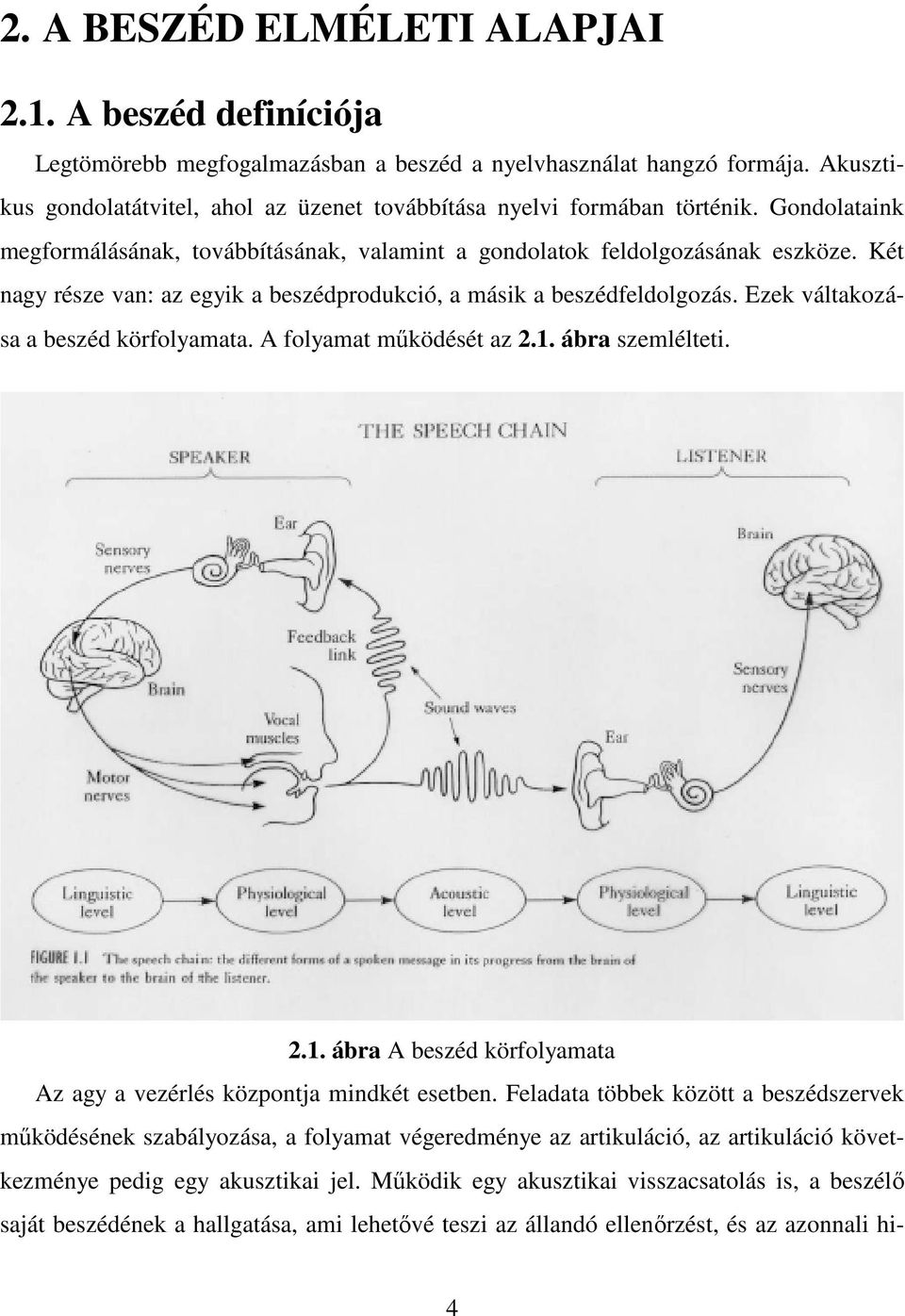 Két nagy része van: az egyik a beszédprodukció, a másik a beszédfeldolgozás. Ezek váltakozása a beszéd körfolyamata. A folyamat mőködését az 2.1.