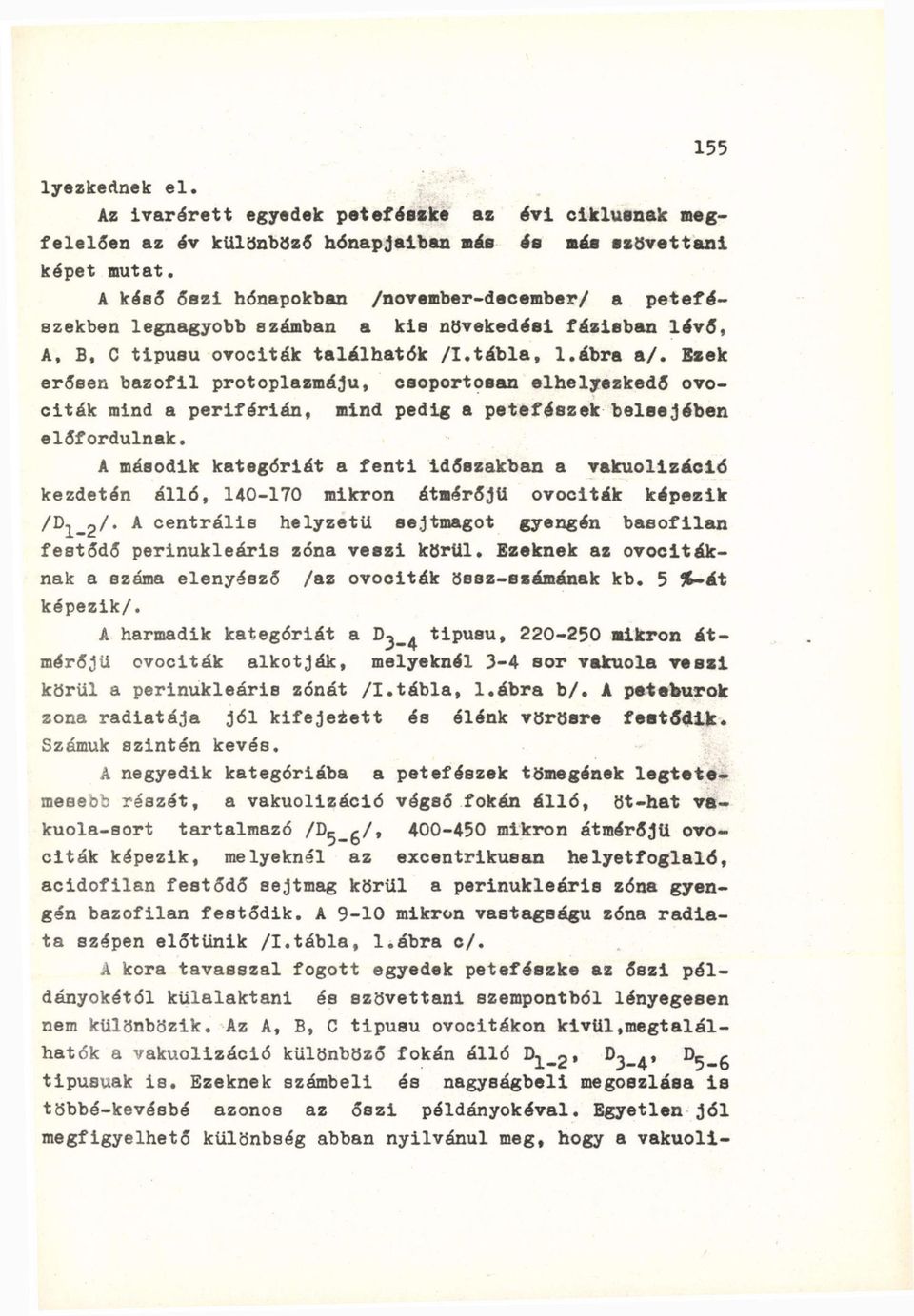 Ezek erősen bazofil protoplazmáju, csoportosan elhelyezkedő ovociták mind a periférián, mind pedig a petefészek belsejében előfordulnak.