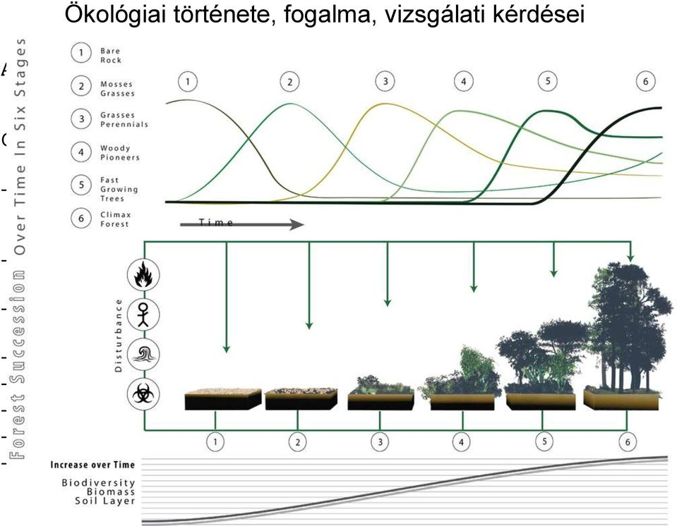 - Leeuwenhoek (1687) gabonabogarak, döglegyek és emberi tetvek szaporodási rátáját vizsgálta. 1 pár döglégy 746,496 utódot képes produkálni egy hónap alatt.