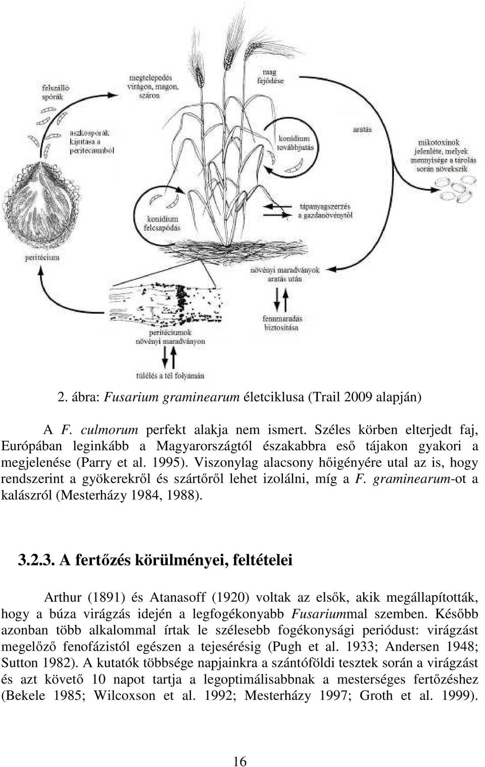 Viszonylag alacsony hőigényére utal az is, hogy rendszerint a gyökerekről és szártőről lehet izolálni, míg a F. graminearum-ot a kalászról (Mesterházy 1984, 1988). 3.
