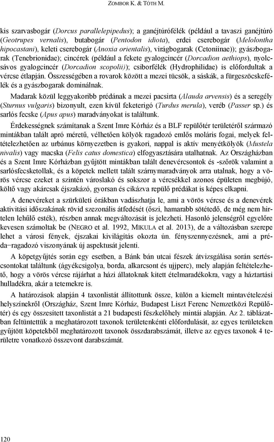 cserebogár (Anoxia orientalis), virágbogarak (Cetoniinae)); gyászbogarak (Tenebrionidae); cincérek (például a fekete gyalogcincér (Dorcadion aethiops), nyolcsávos gyalogcincér (Dorcadion scopolii));