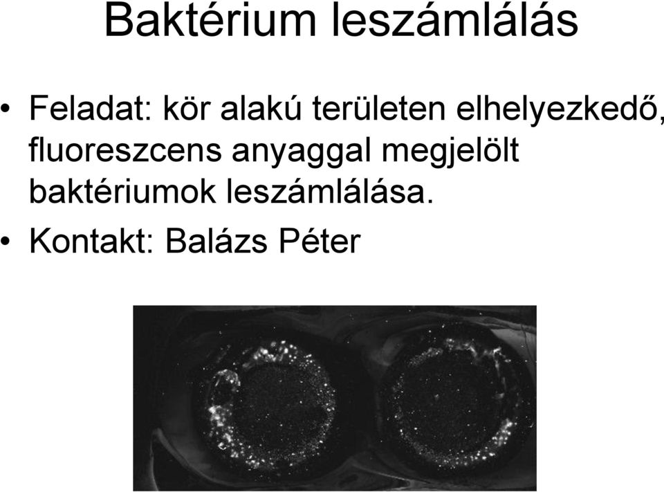 fluoreszcens anyaggal megjelölt