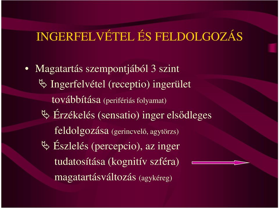 Érzékelés (sensatio) inger elsıdleges feldolgozása (gerincvelı, agytörzs)