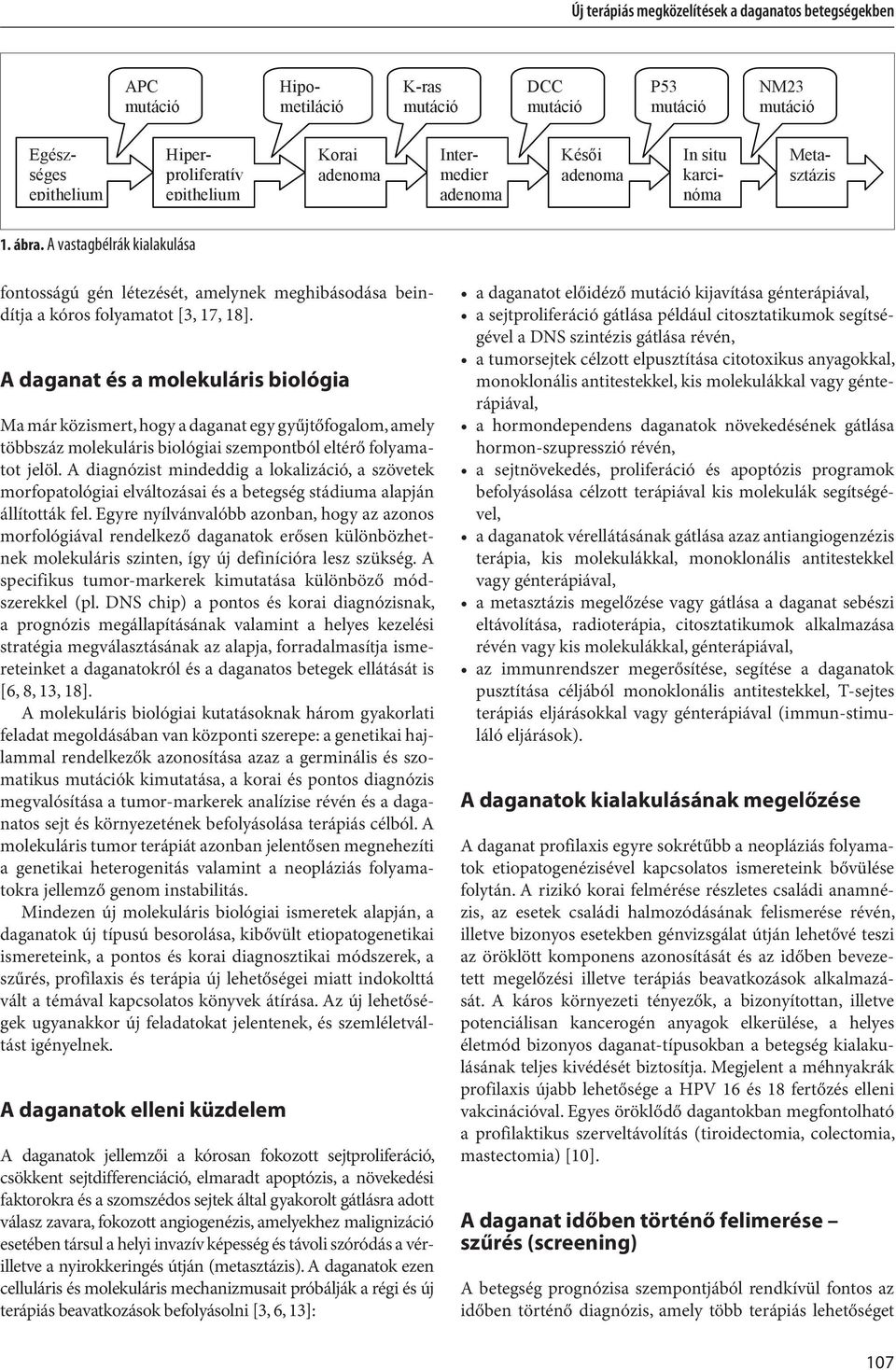 epithelium Korai adenoma Intermedier adenoma Kés i adenoma In situ karcinóma Metasztázis  A vastagbélrák kialakulása fontosságú gén létezését, amelynek meghibásodása beindítja a kóros folyamatot [3,