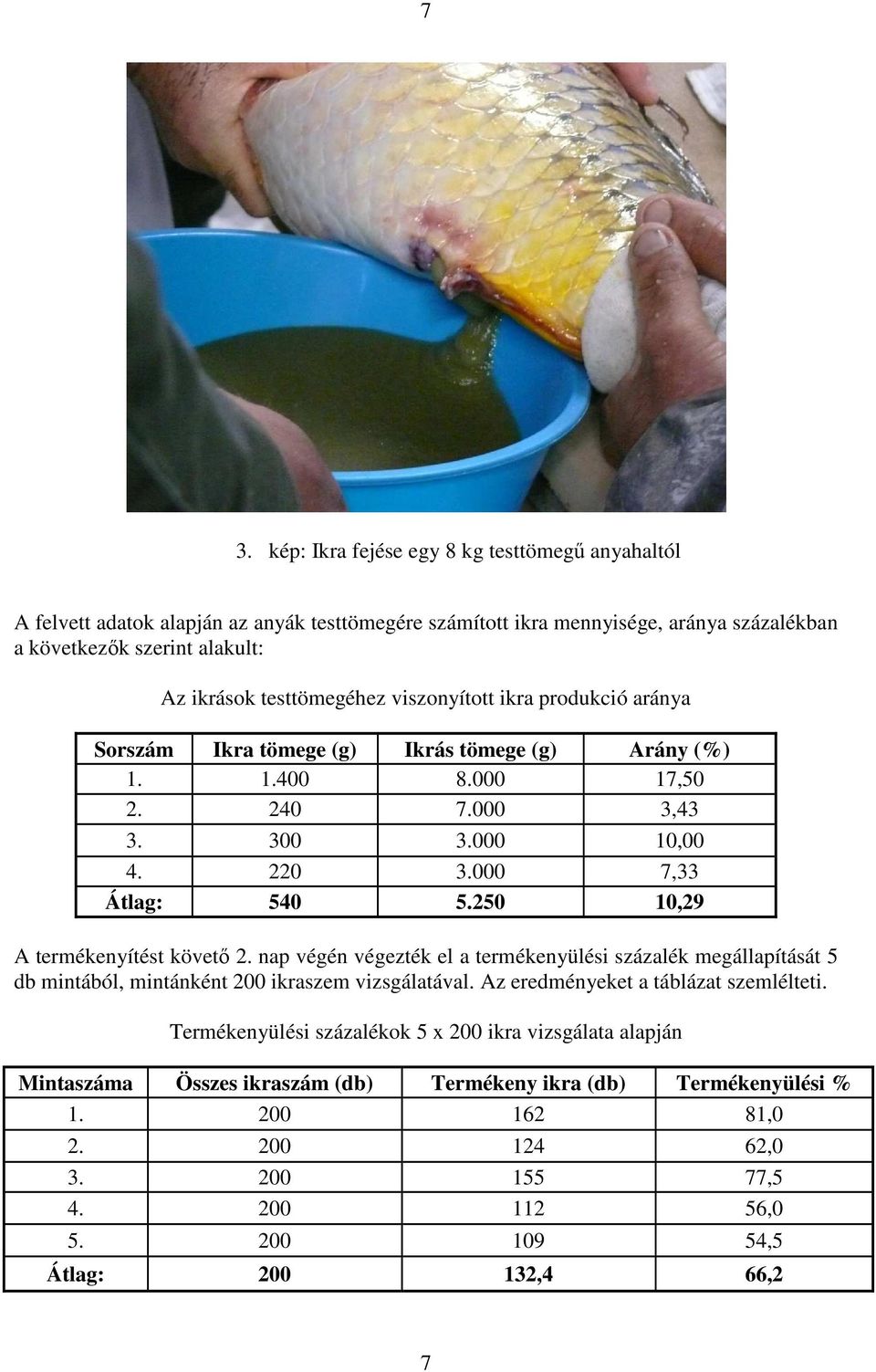 250 10,29 A termékenyítést követő 2. nap végén végezték el a termékenyülési százalék megállapítását 5 db mintából, mintánként 200 ikraszem vizsgálatával. Az eredményeket a táblázat szemlélteti.