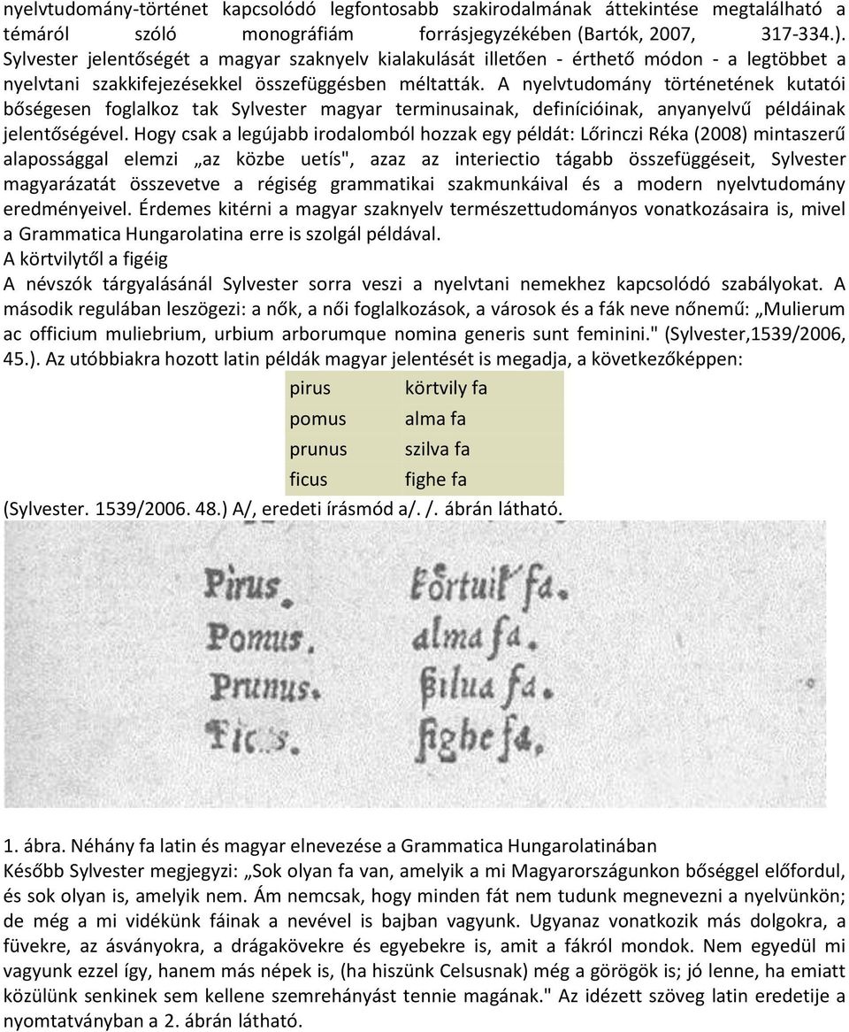 A nyelvtudomány történetének kutatói bőségesen foglalkoz tak Sylvester magyar terminusainak, definícióinak, anyanyelvű példáinak jelentőségével.