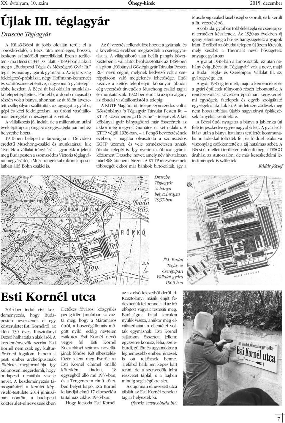 tégla, és más agyagáruk gyártására. Az új társaság feldolgozó-présházat, négy Hoffmann-kemencét és szárítószíneket építve, nagyvonalú gyártelepítésbe kezdett.