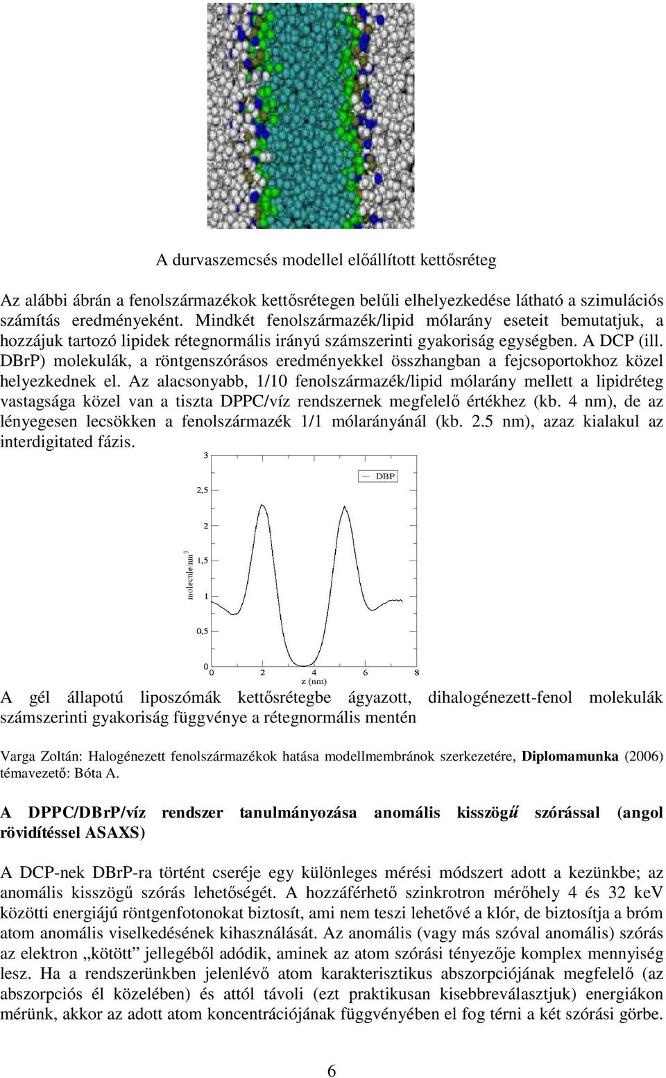 DBrP) molekulák, a röntgenszórásos eredményekkel összhangban a fejcsoportokhoz közel helyezkednek el.