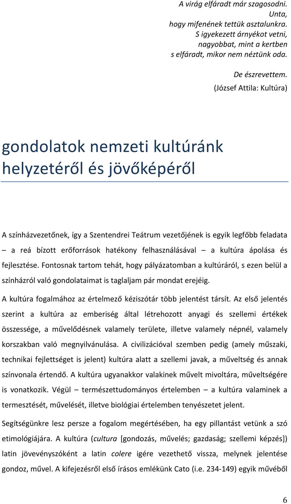 felhasználásával a kultúra ápolása és fejlesztése. Fontosnak tartom tehát, hogy pályázatomban a kultúráról, s ezen belül a színházról való gondolataimat is taglaljam pár mondat erejéig.