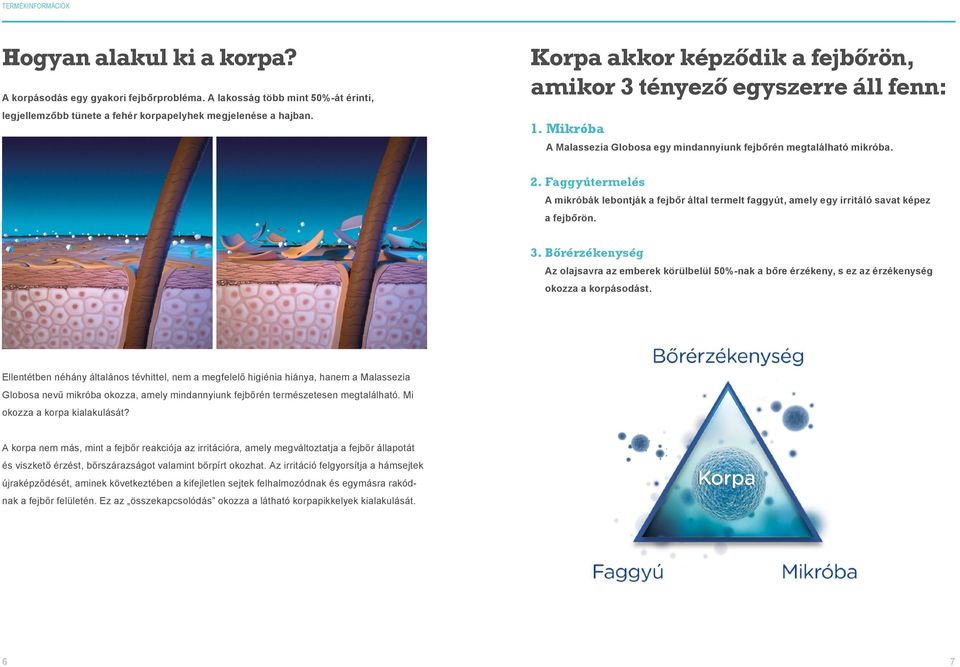 Faggyútermelés A mikróbák lebontják a fejbőr által termelt faggyút, amely egy irritáló savat képez a fejbőrön. 3.