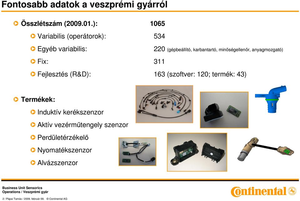 minıségellenır, anyagmozgató) Fix: 311 Fejlesztés (R&D): 163 (szoftver: 120; termék: 43)