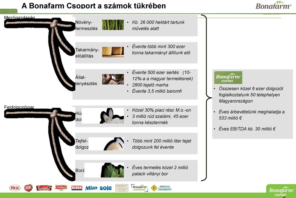 500 ezer sertés (10-12%-a a magyar termelésnek) 2800 tejelő marha Évente 3,5 millió barom