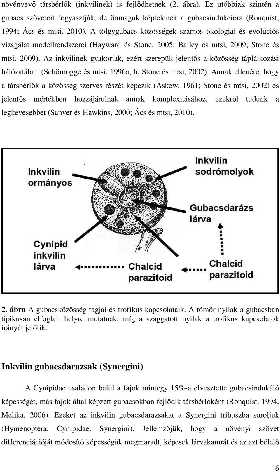 Az inkvilinek gyakoriak, ezért szerepük jelentıs a közösség táplálkozási hálózatában (Schönrogge és mtsi, 1996a, b; Stone és mtsi, 2002).