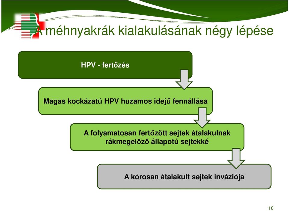 A folyamatosan fertızött sejtek átalakulnak