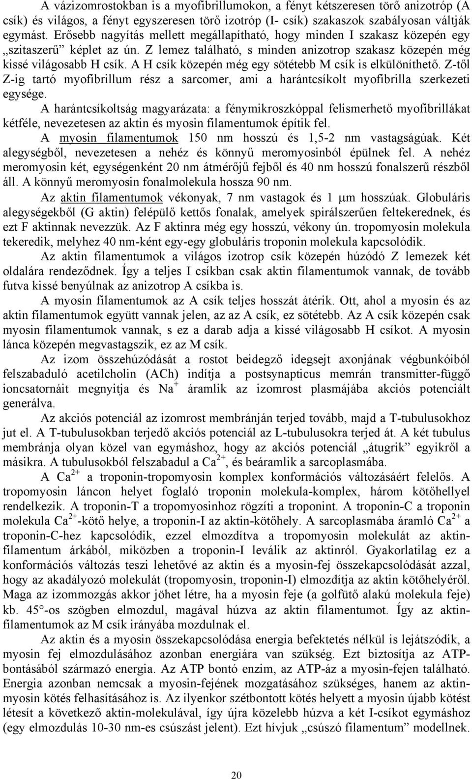 A H csík közepén még egy sötétebb M csík is elkülöníthető. Z-től Z-ig tartó myofibrillum rész a sarcomer, ami a harántcsíkolt myofibrilla szerkezeti egysége.