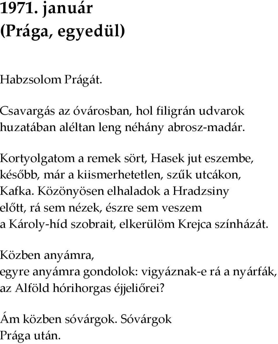 Kortyolgatom a remek sört, Hasek jut eszembe, később, már a kiismerhetetlen, szűk utcákon, Kafka.